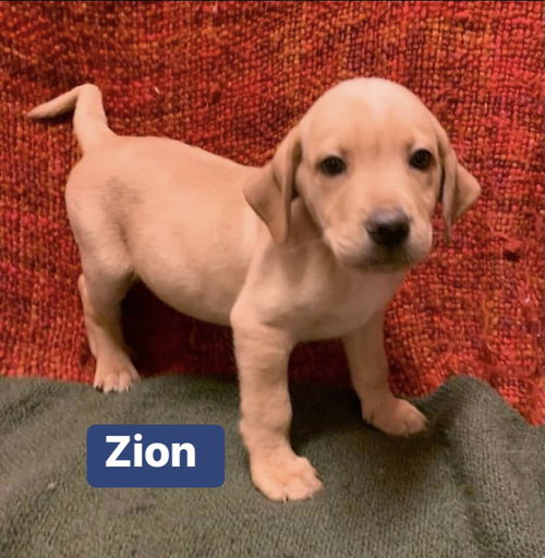 Zion