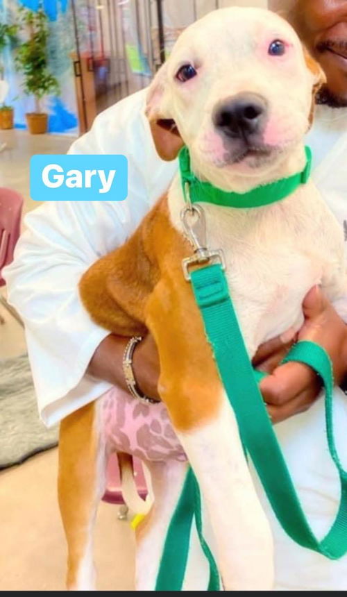 Gary *Adoption pending