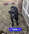 Axle