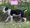 Rizzo *adoption pending