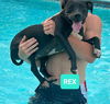 Rex *adoption pending