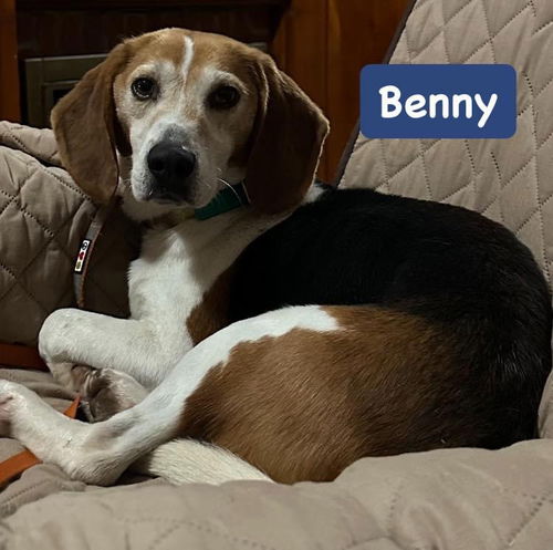 Benny