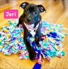 Jeri (female)