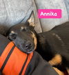 Annika