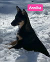 Annika