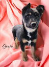 Greta