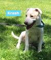 Krash
