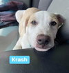 Krash
