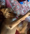 Jax