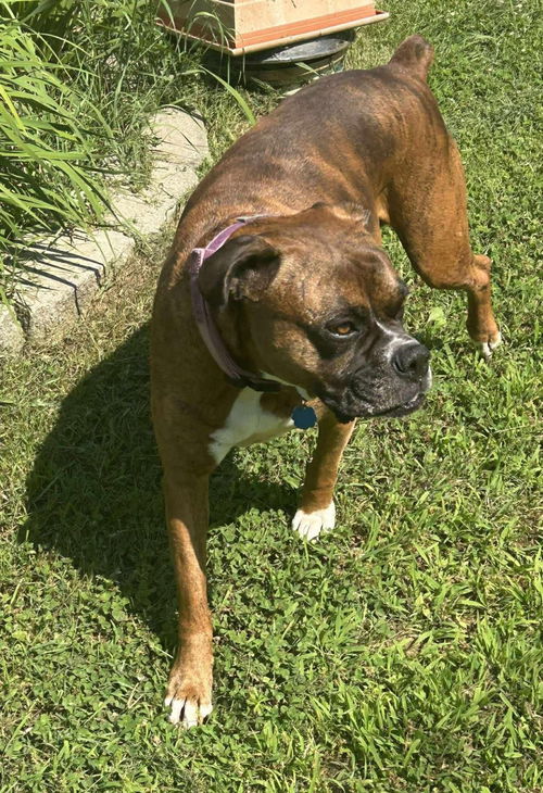 Bella  **URGENT**
