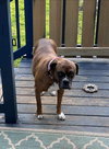 Bella  **URGENT**