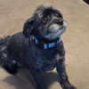 Bernadette *adoption pending