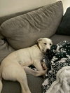 Casper