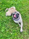 Avita *adoption pending