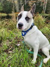 Malcolm *URGENT