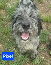 Pixel