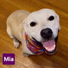 Mia