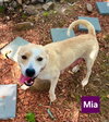 Mia