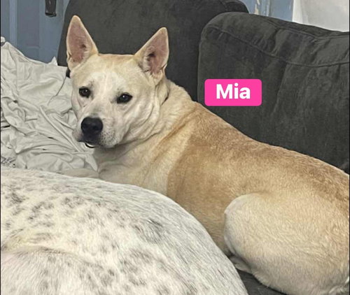 Mia