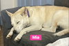 Mia