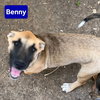 Benny