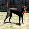 Tango *urgent!