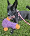 Roxy