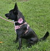 Roxy