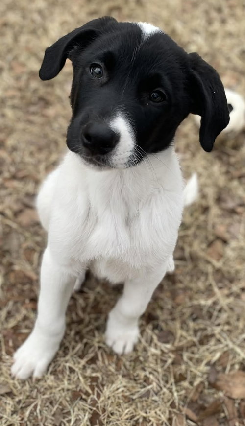 Billy