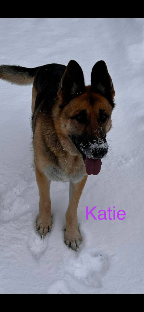 Katie