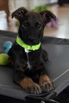 Nora