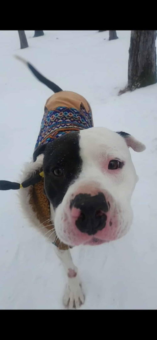 Odin