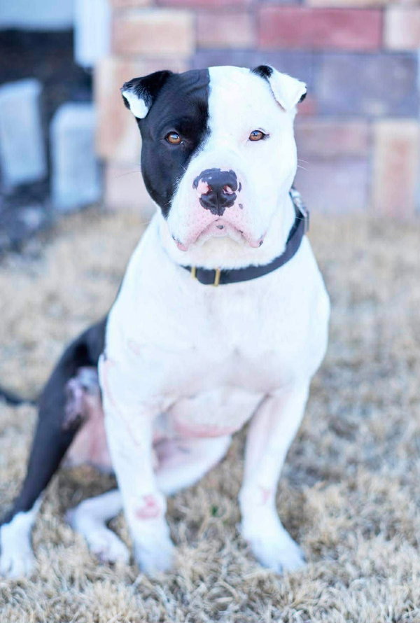 Odin