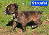 Strudel