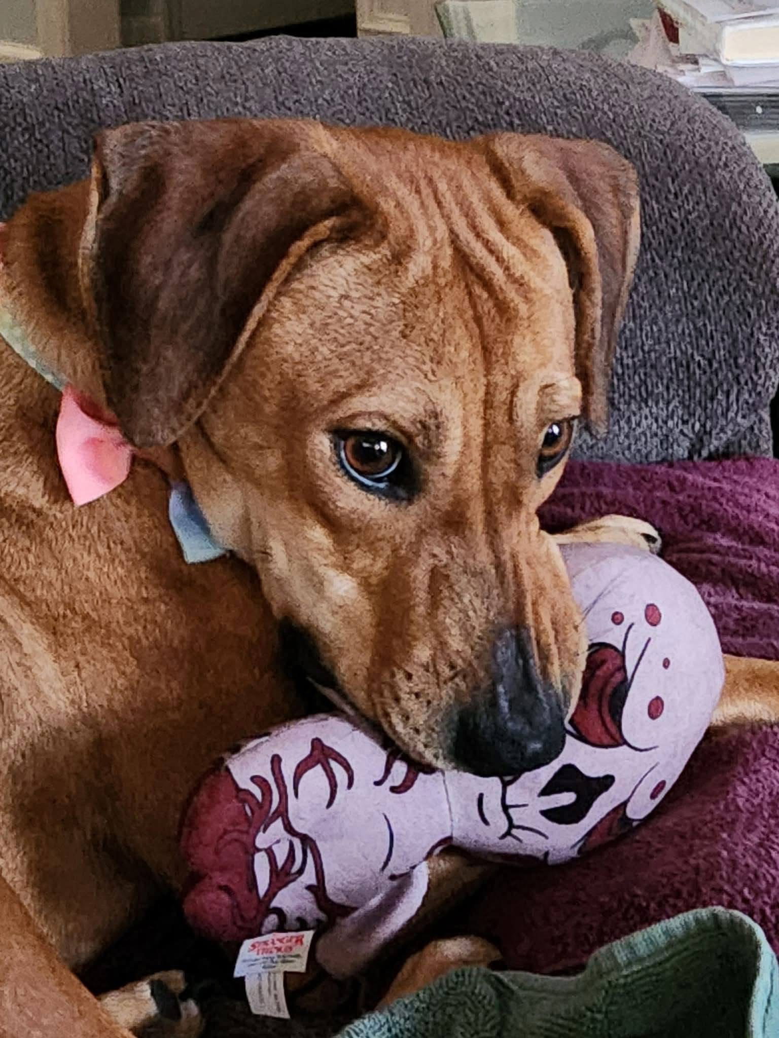 Lady **URGENT**