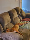 Lady **URGENT**