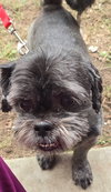 Mylo