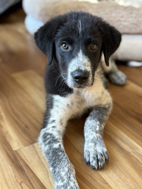 Sam