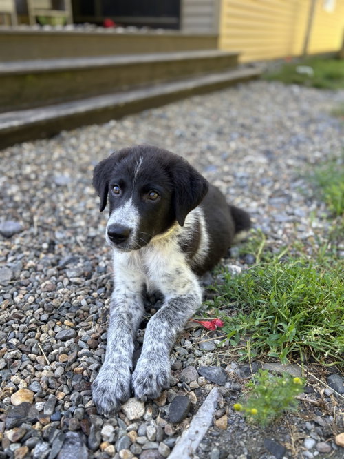 Sam photo 2