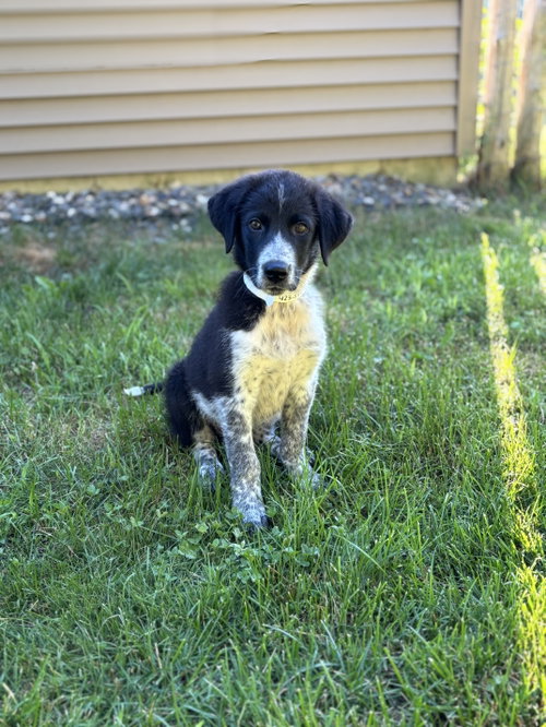 Sam photo 4