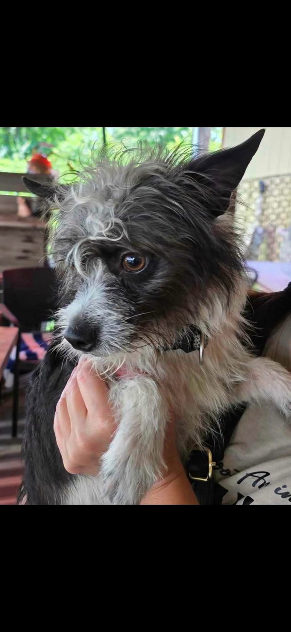 Chewy