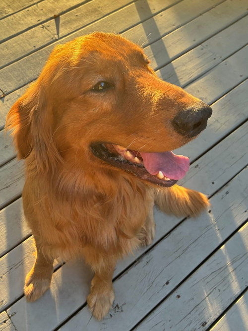 Benny photo 2