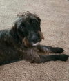Greta