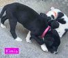 Kimia