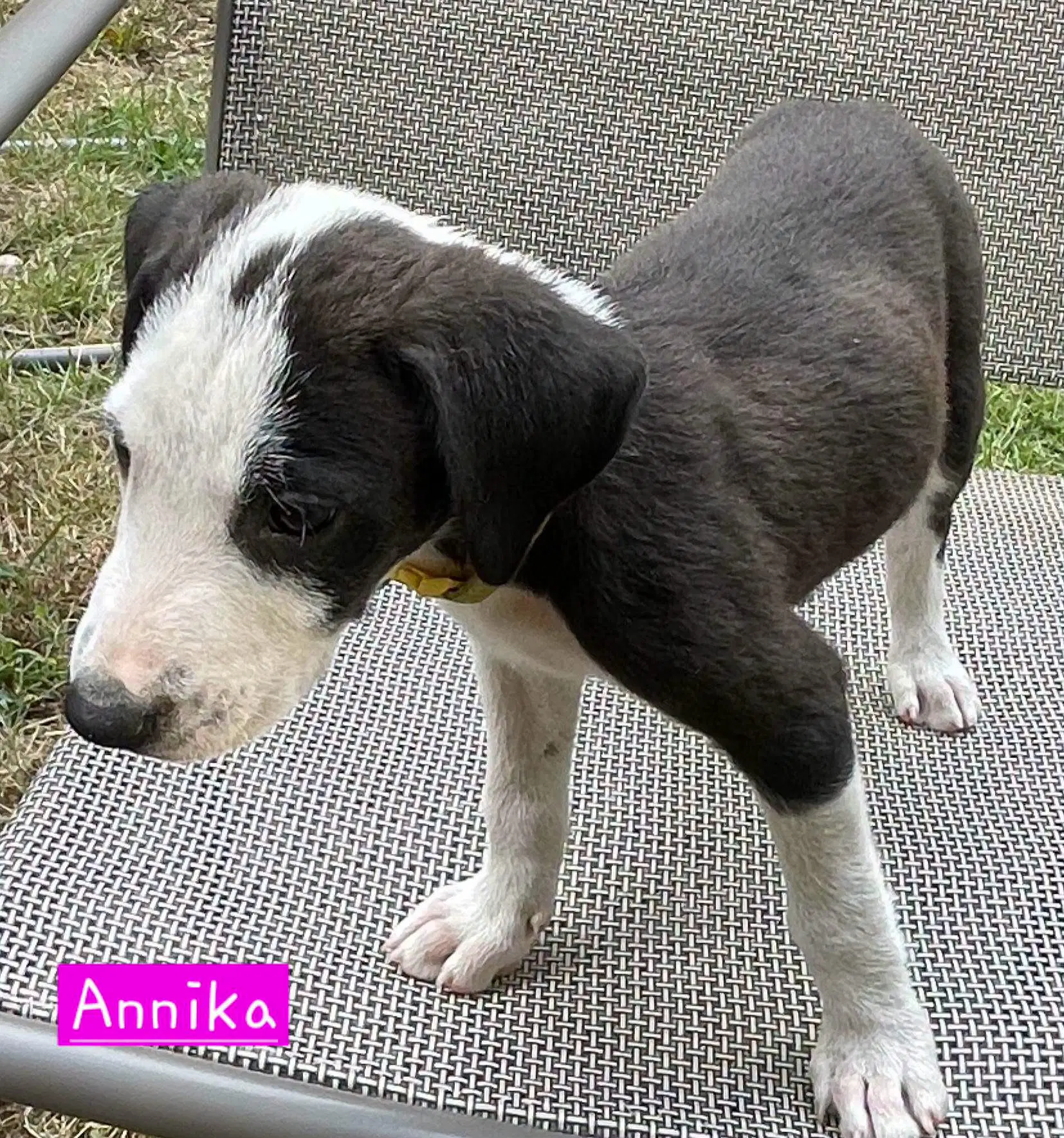 Annika image 3