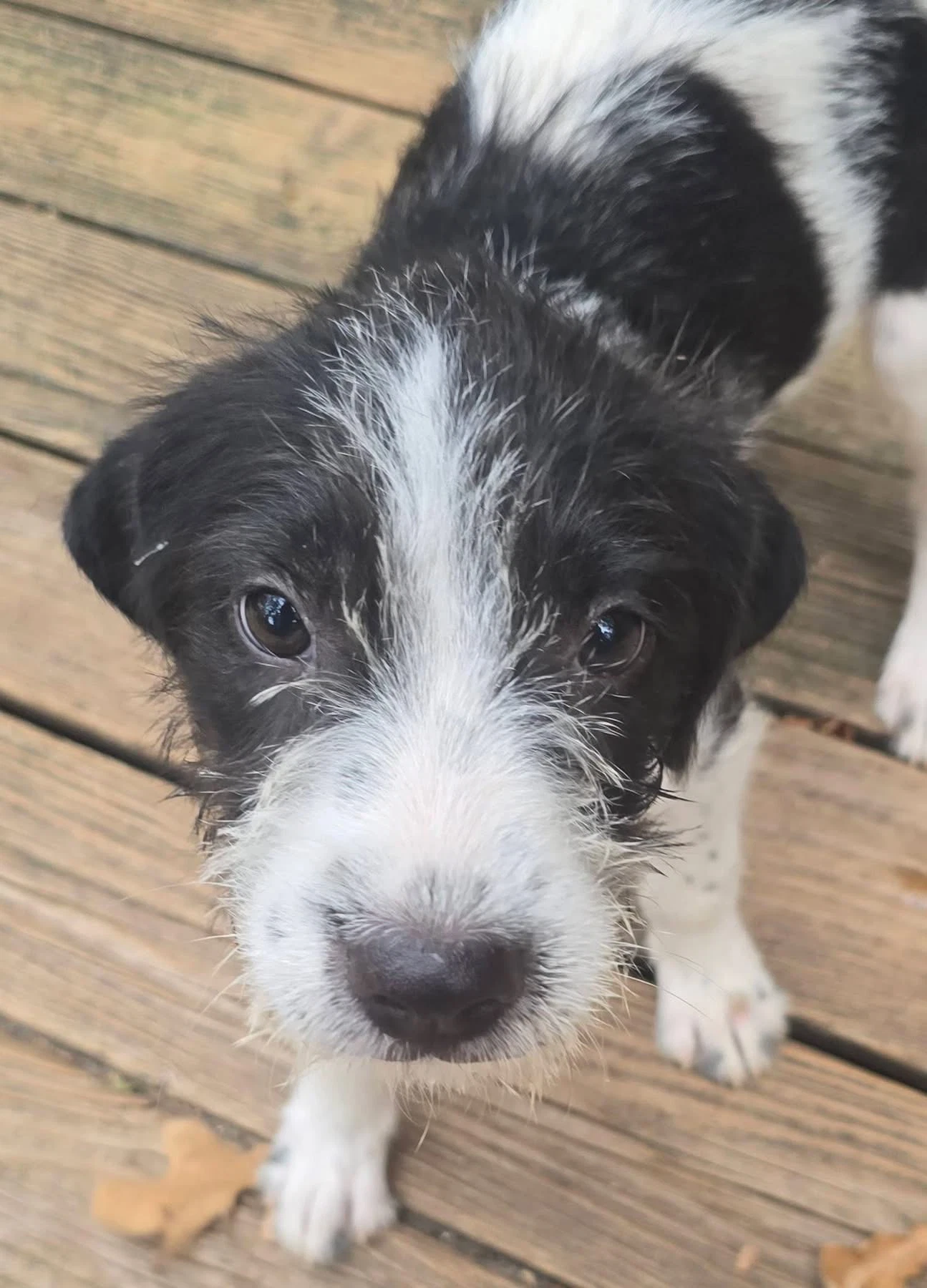Sokka