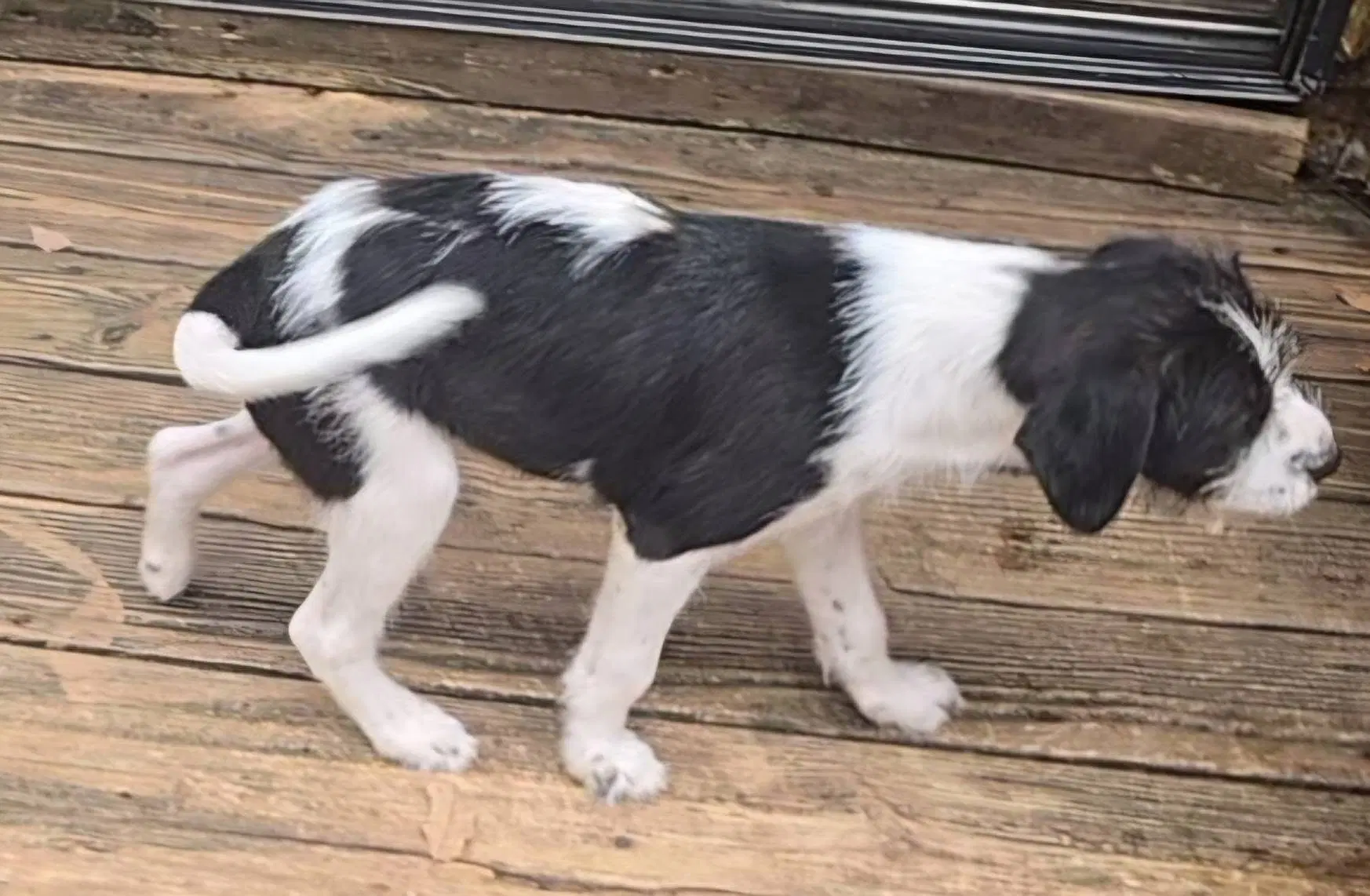 Sokka image 2