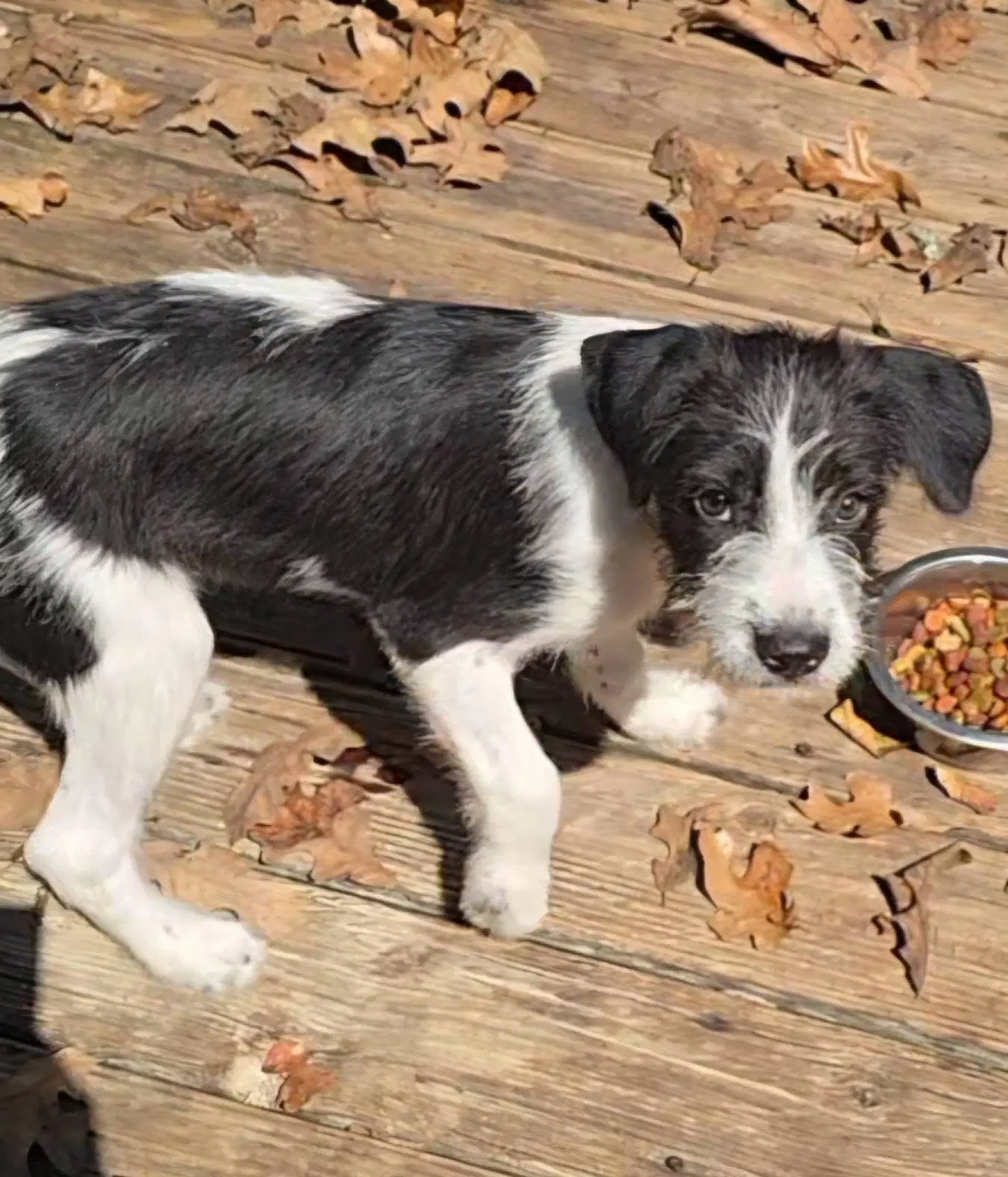 Sokka image 3