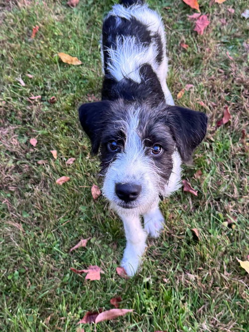 Photo 3 of Sokka