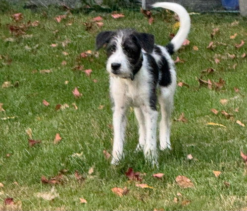 Photo 4 of Sokka